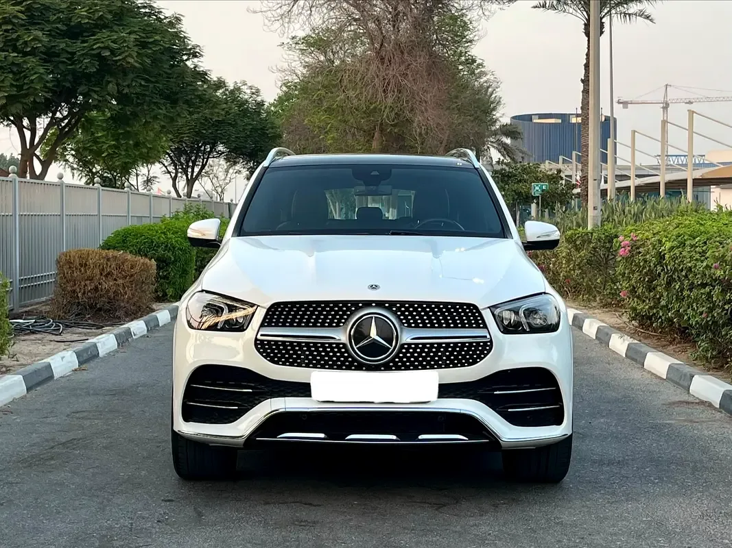 Mercedes-Benz GLE 3.0 AT 4WD (367 hp) - 2
