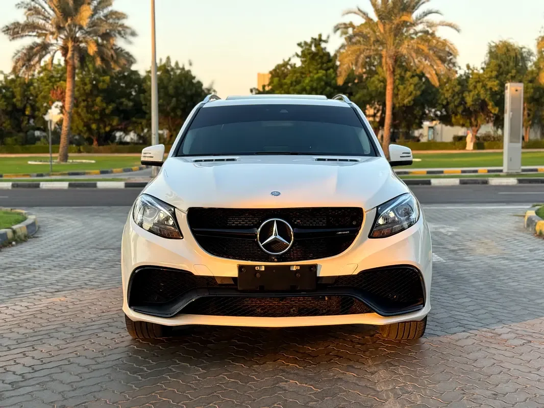 Mercedes-Benz GLE-Class 350 d 4MATIC 9G-TRONIC (249 hp) - 2