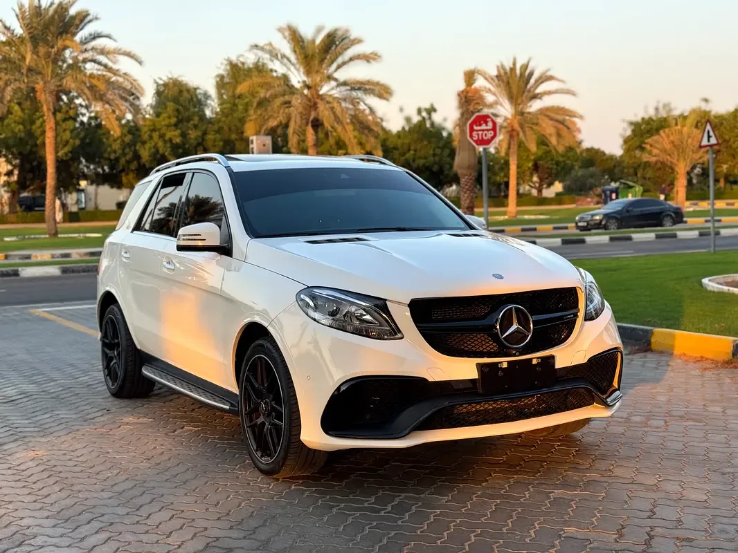 Mercedes-Benz GLE-Class 350 d 4MATIC 9G-TRONIC (249 hp) - 3