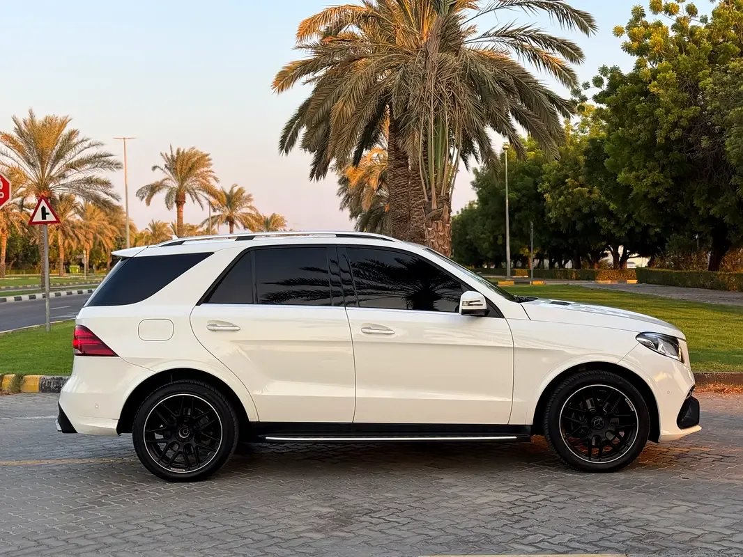 Mercedes-Benz GLE-Class 350 d 4MATIC 9G-TRONIC (249 hp) - 4
