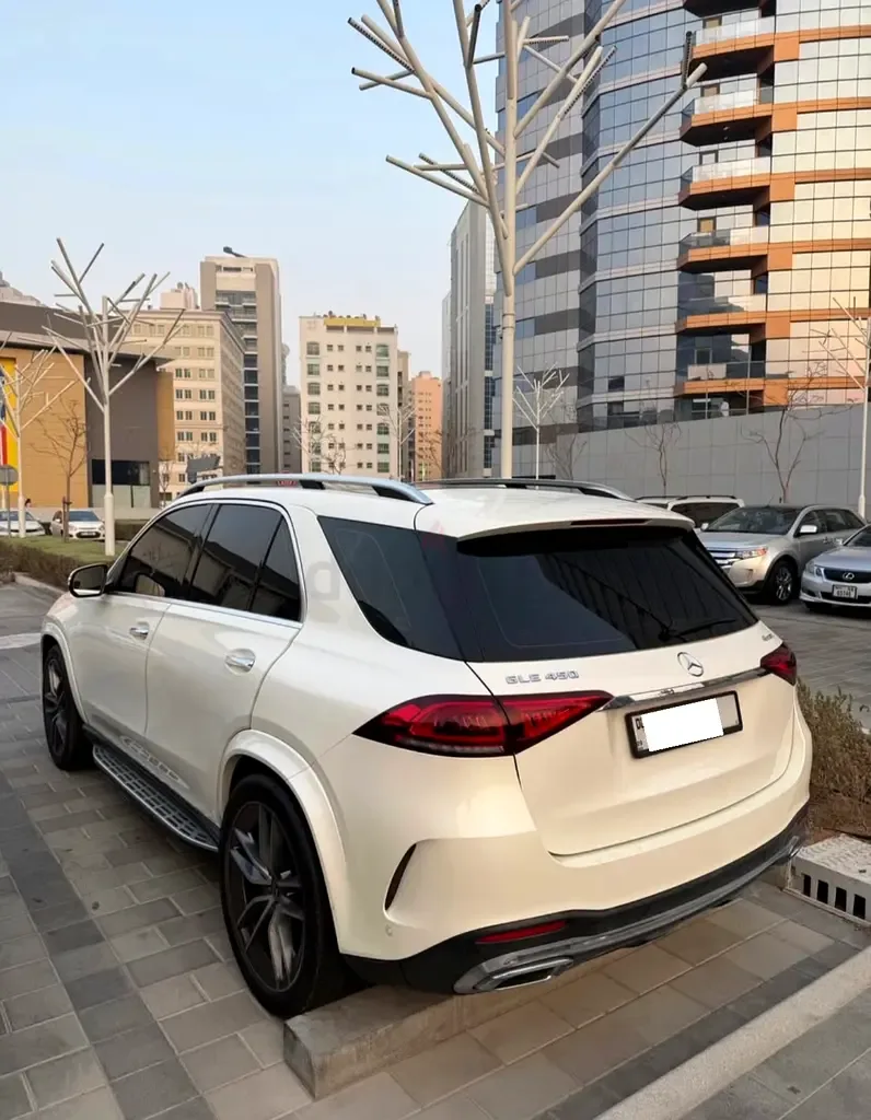 Mercedes-Benz GLE-Class 450 9G-Tronic 4Matic (367 حصان) - 3