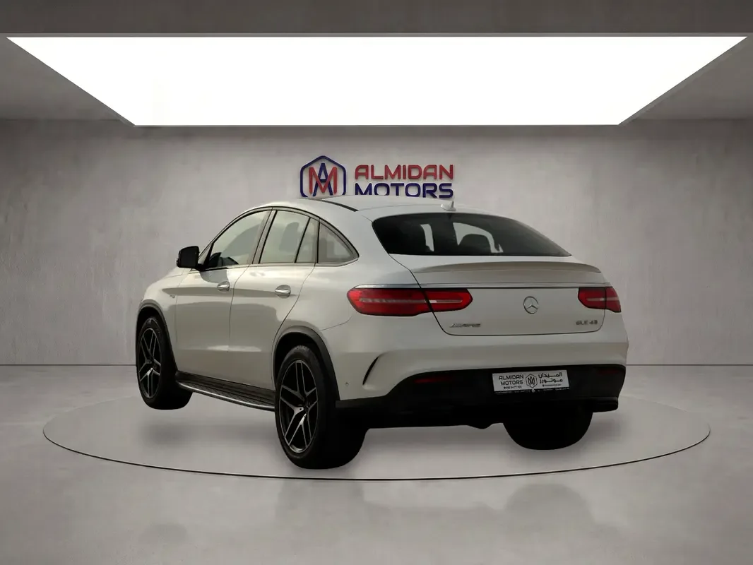 Mercedes-Benz GLE-Class AMG 43 4MATIC 9G-TRONIC (367 hp) - 13