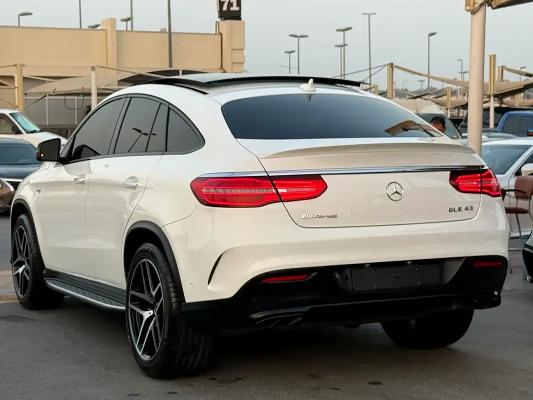 Mercedes-Benz GLE-Class AMG 43 4MATIC 9G-TRONIC (367 hp) - 8