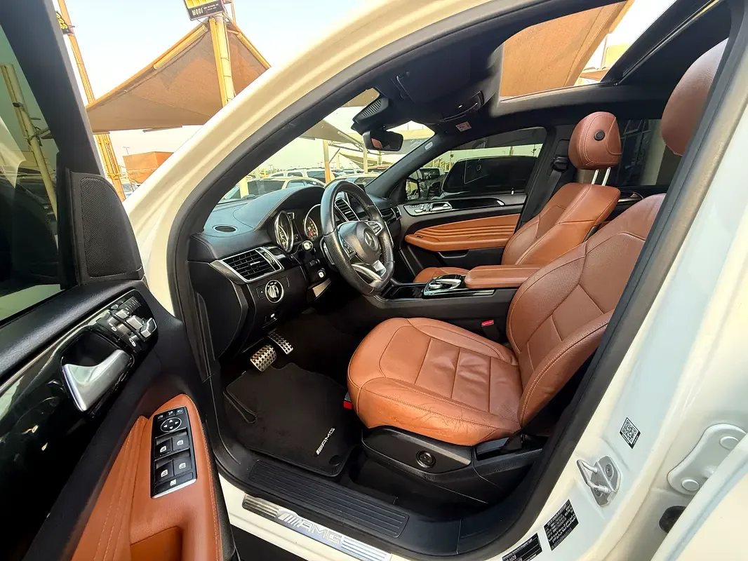 Mercedes-Benz GLE-Class AMG 43 4MATIC 9G-TRONIC (367 hp) - 15