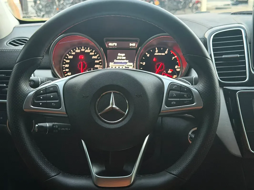 Mercedes-Benz GLE-Class AMG 43 4MATIC 9G-TRONIC (367 hp) - 15