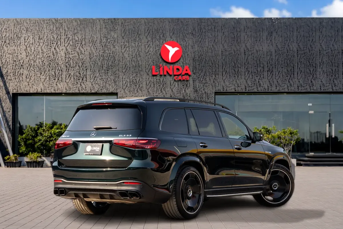 Mercedes-Benz GLS 4.0 AT (489 hp) - 6