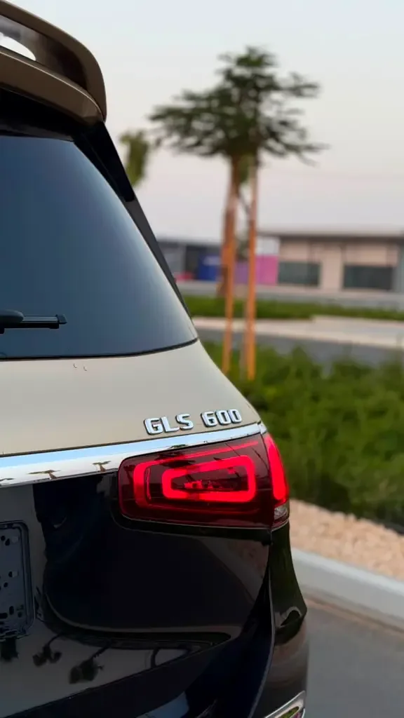 Mercedes-Benz GLS 450 9G-Tronic 4Matic (367 حصان) - 8