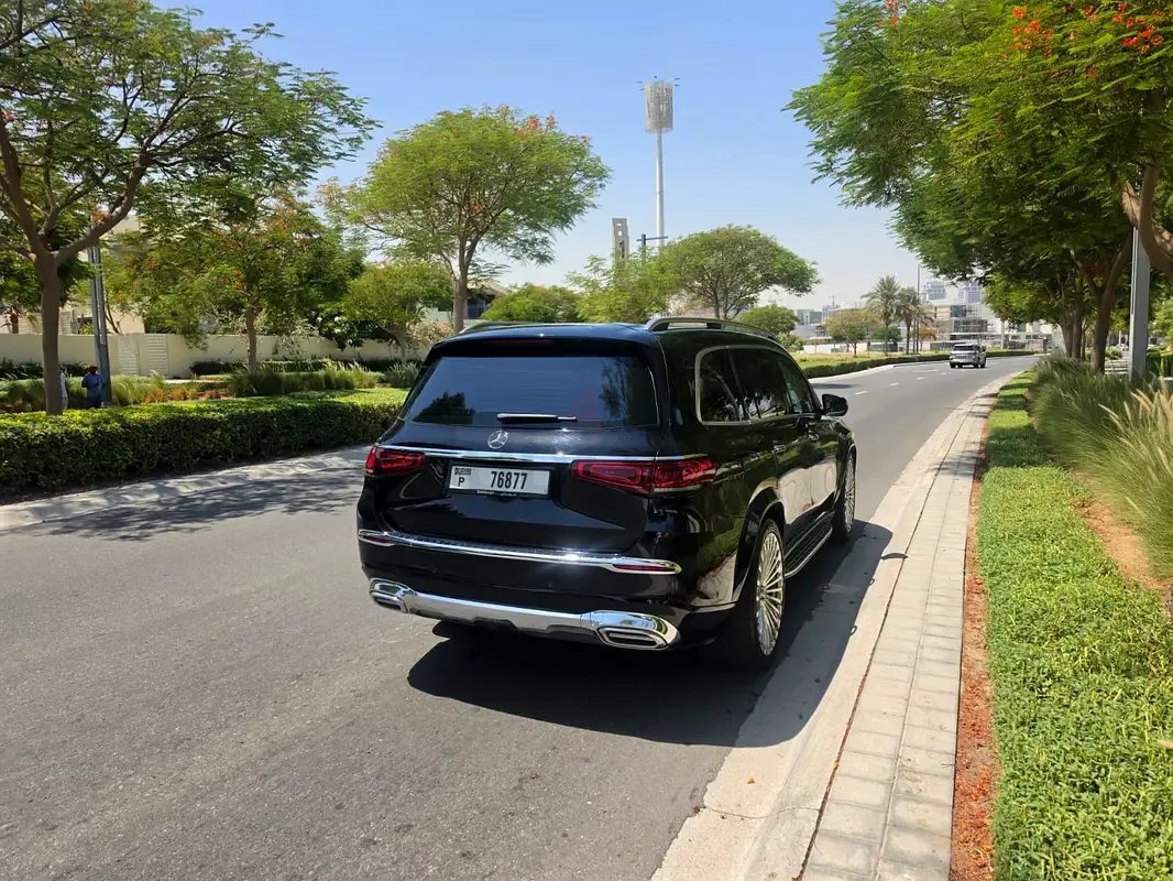Mercedes-Benz GLS 450 9G-Tronic 4Matic (367 حصان) - 2