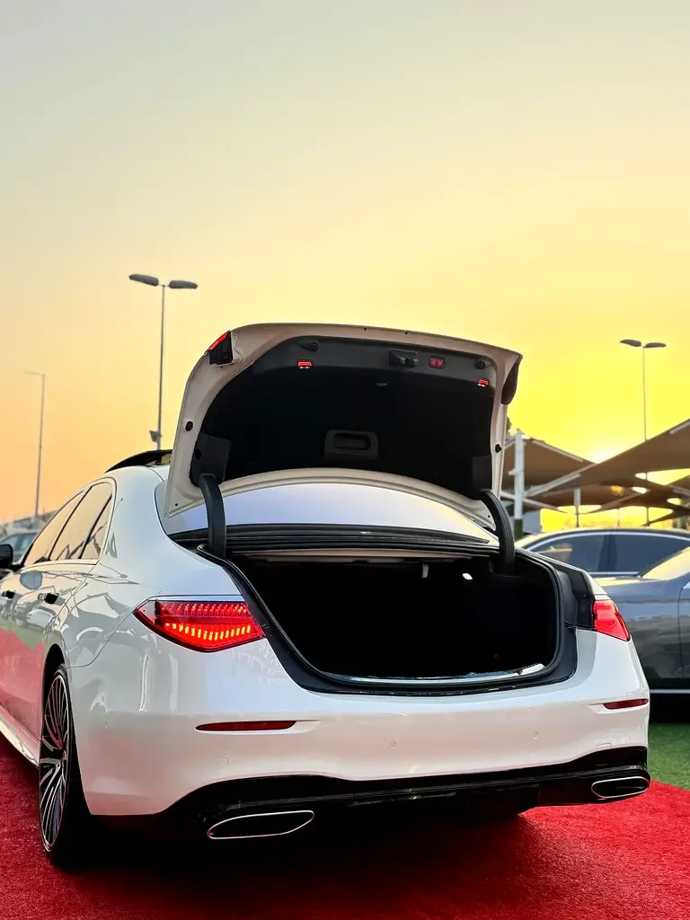 Mercedes-Benz S-Class 4.0 AT 4WD (489 hp) - 20