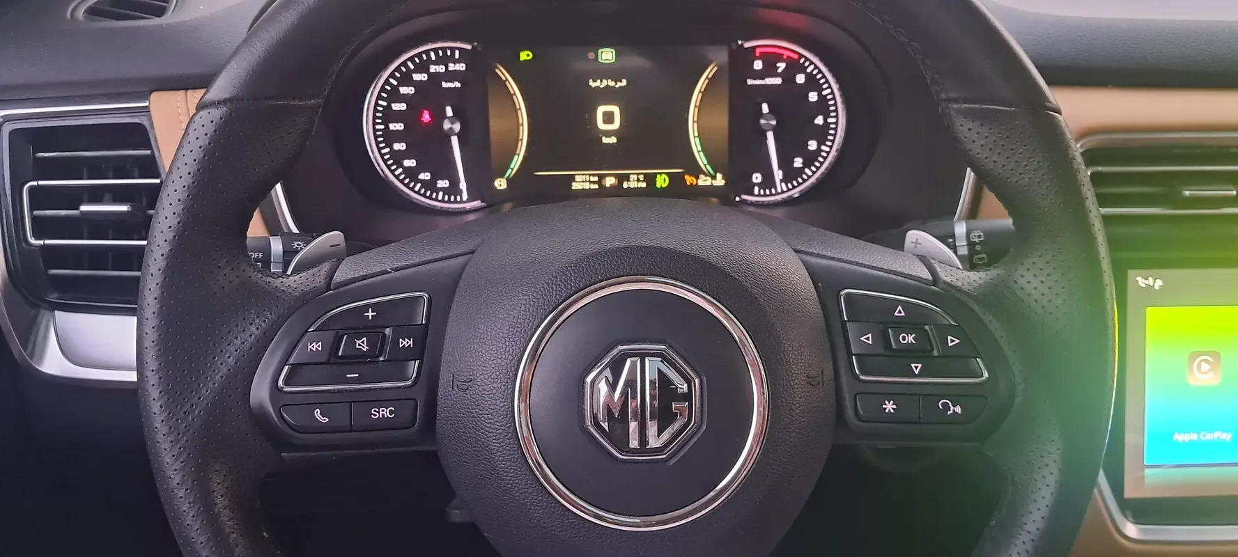 MG RX8 2.0 AT 4WD (220 hp) - 14