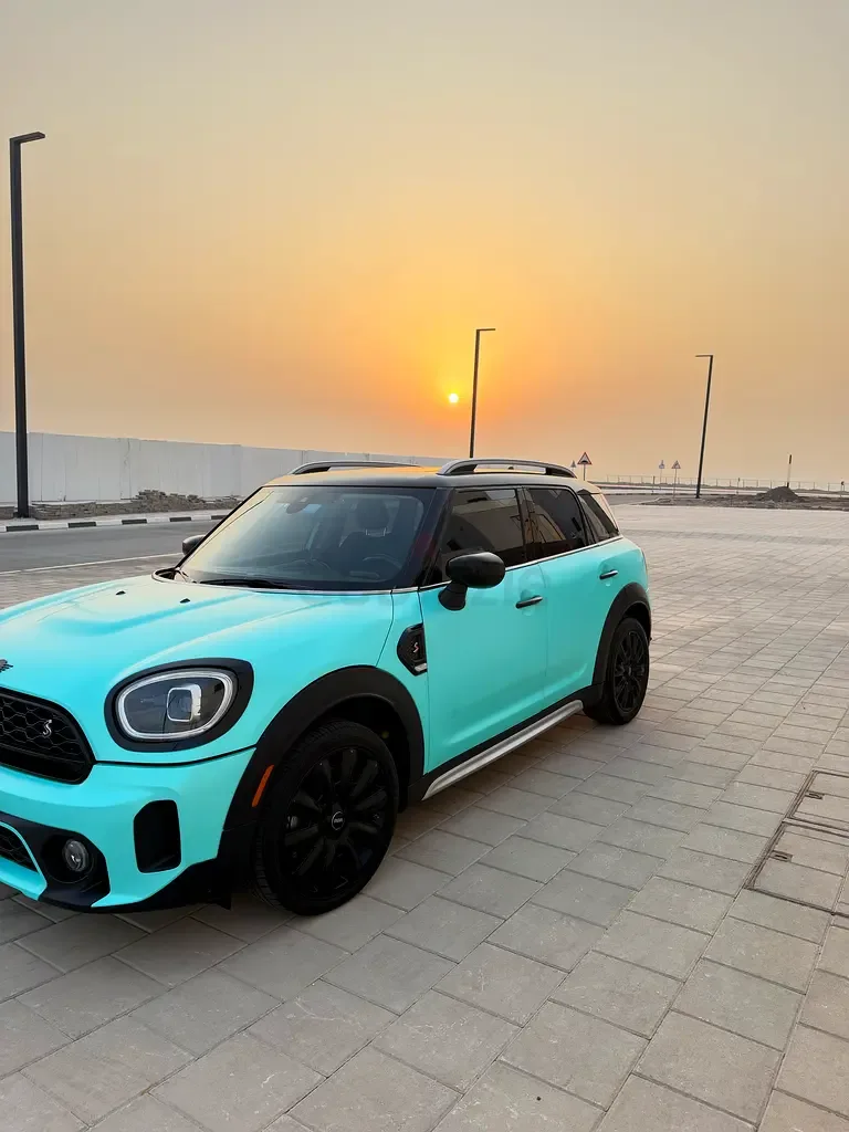 Mini Countryman 2.0 AMT (178 hp) - 6