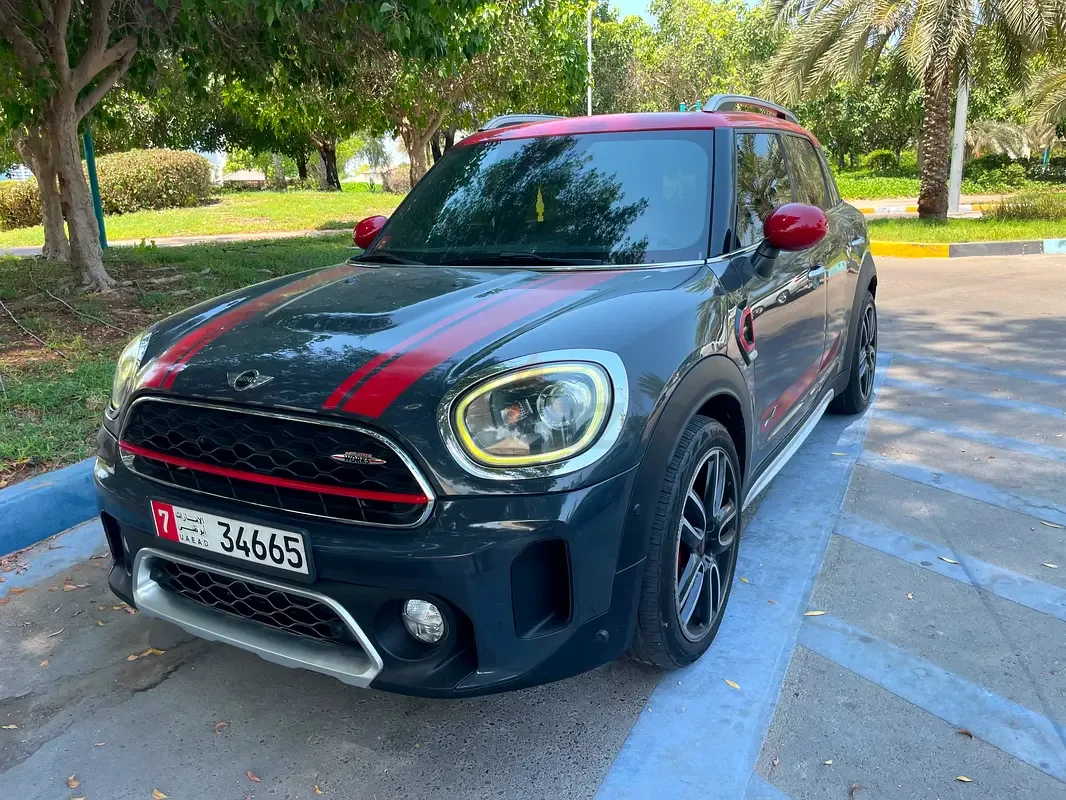 Mini Countryman 2.0 AT ALL4 (231 hp)