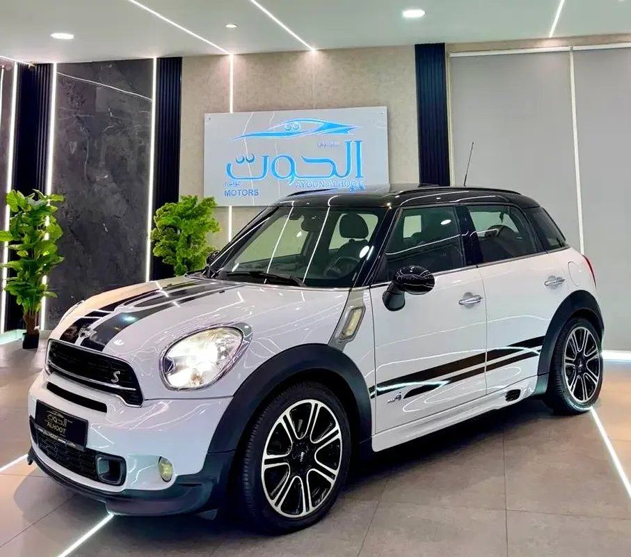Mini Countryman 2.0 AT AWD (190 hp)