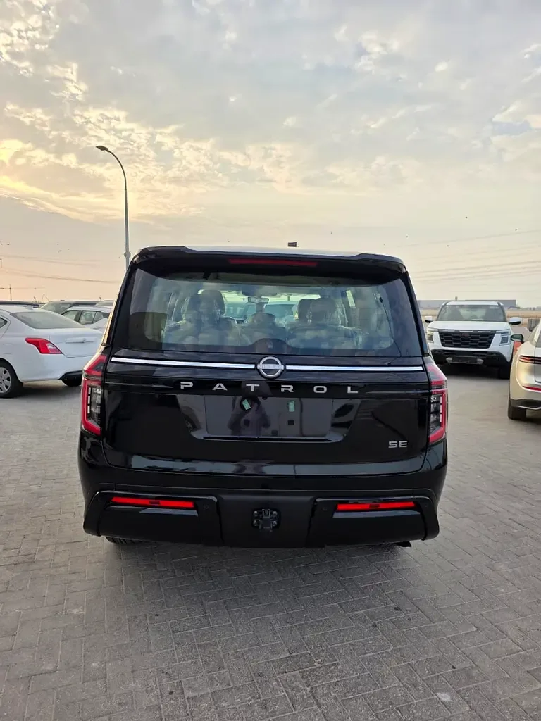 Nissan Patrol 3.8 AT AWD (316 hp) - 3