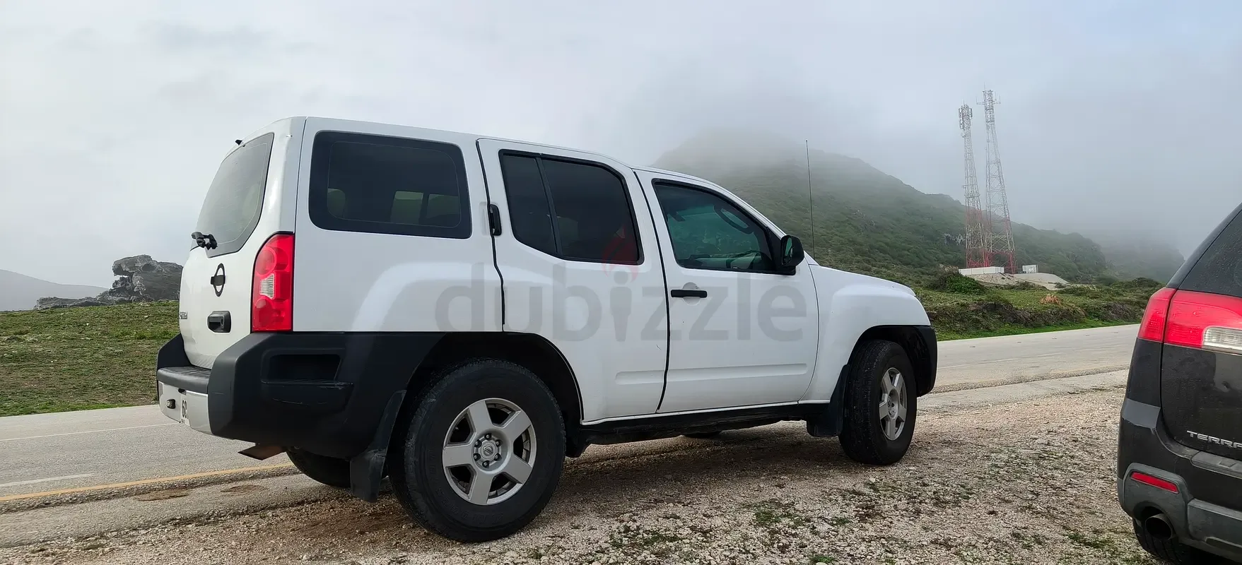 Nissan Xterra 4.0 AT (265 hp)