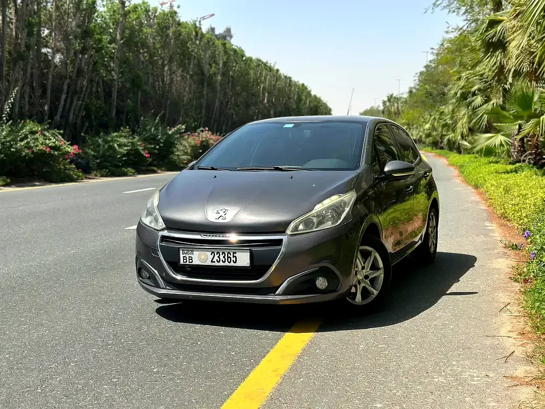 Peugeot 208 1.6 MT (165 hp)