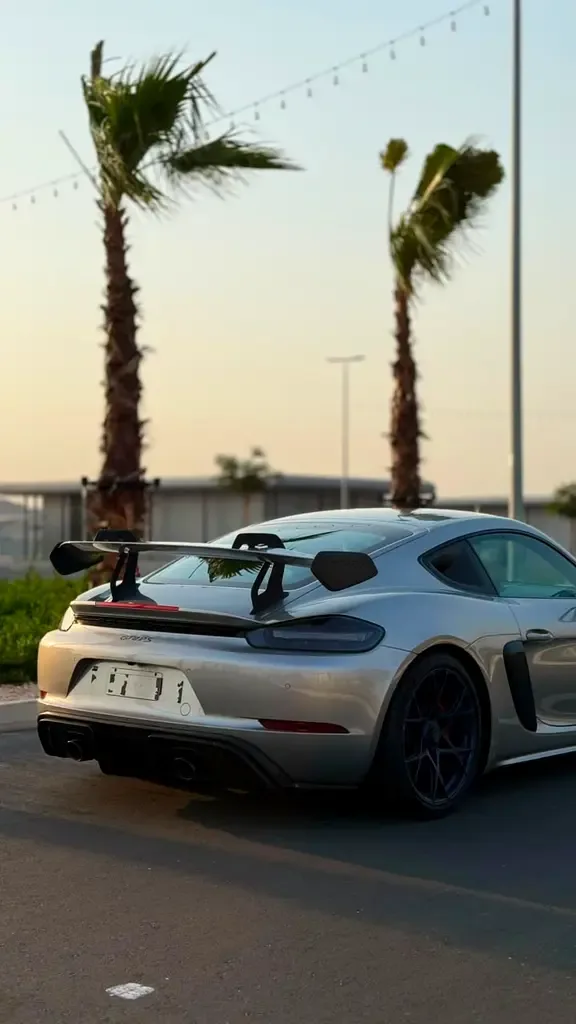 Porsche 718 Spyder 4.0 AMT RWD (500 hp) - 16