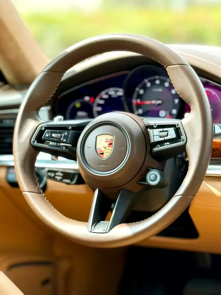 Porsche Panamera 2.9 AMT (353 hp) - 18