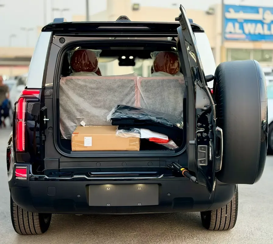 Rox 01 1.5 AT 4WD (476 hp) - 7