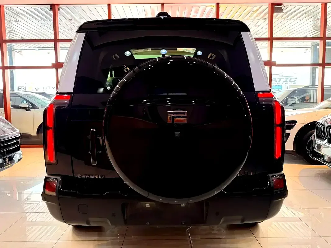 Rox 01 1.5 AT 4WD (476 hp) - 17