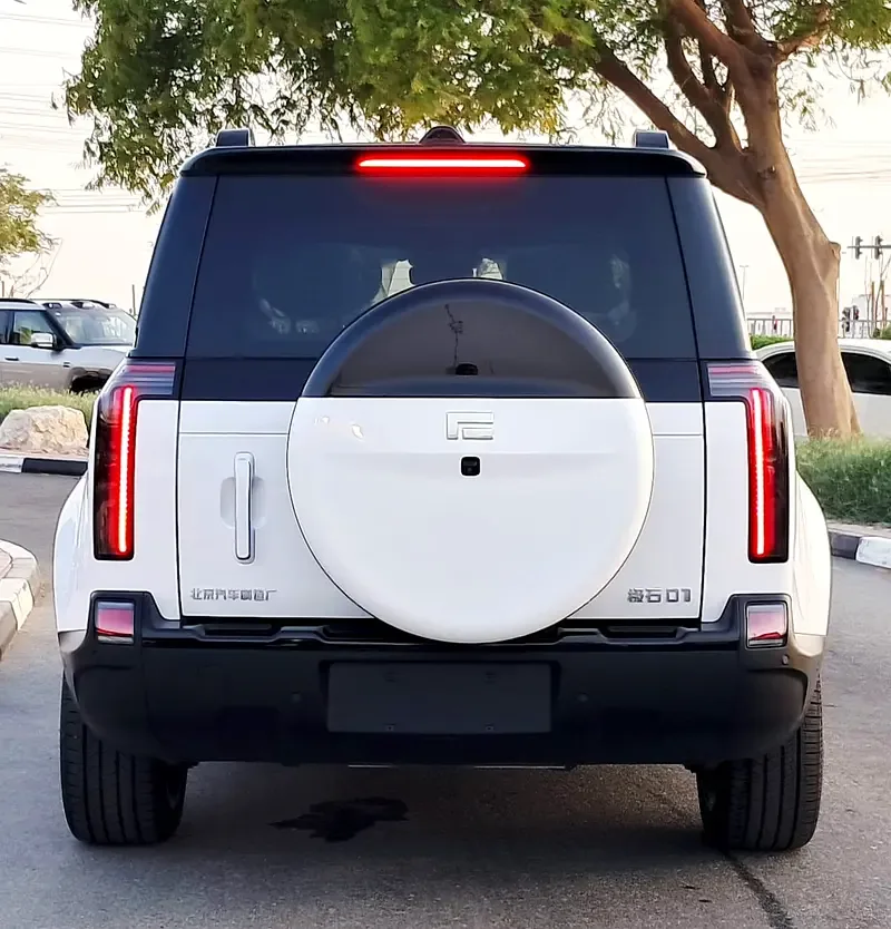 Rox 01 1.5 AT 4WD (476 hp) - 10