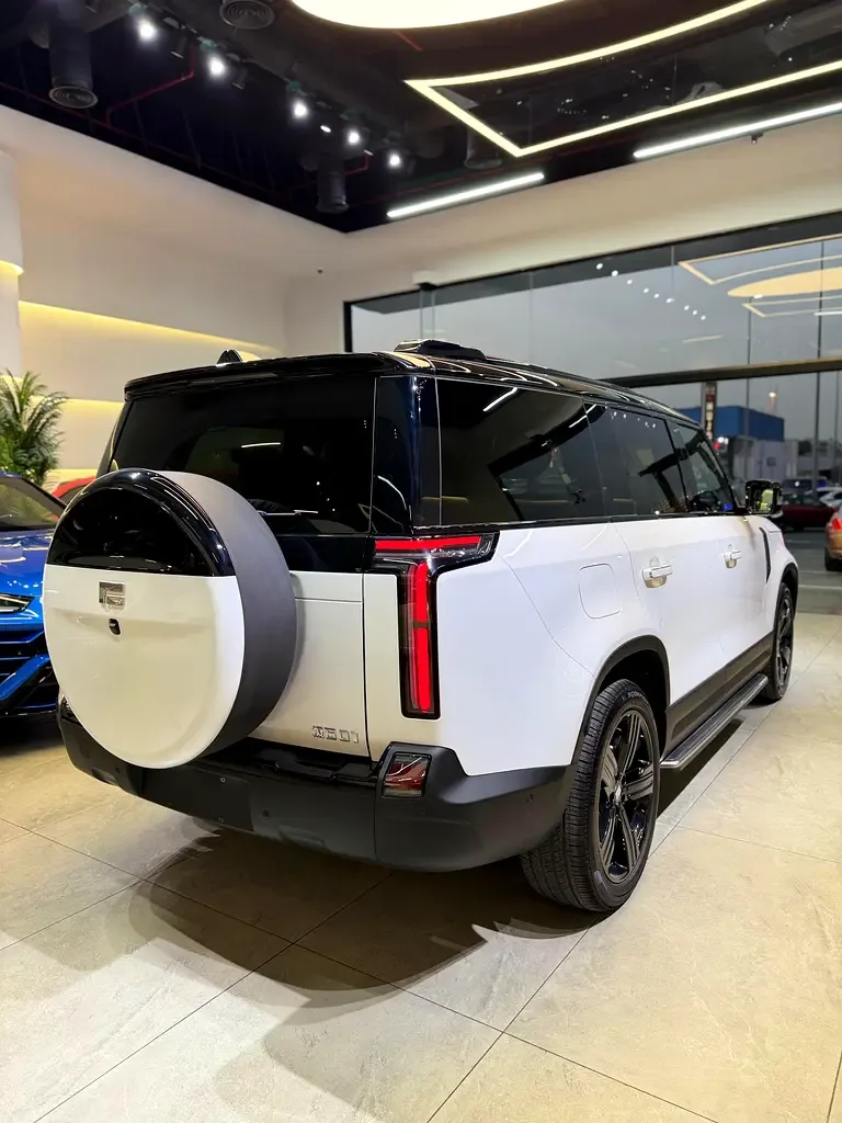 Rox 01 1.5 AT 4WD (476 hp) - 5