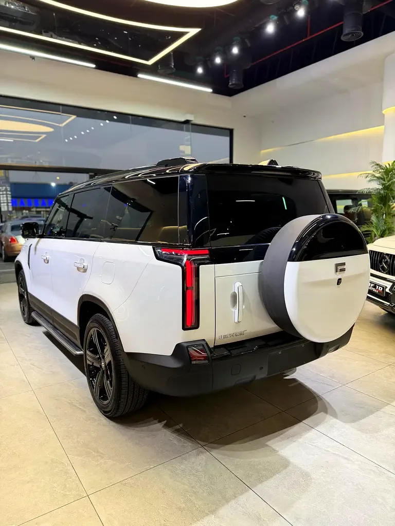 Rox 01 1.5 AT 4WD (476 hp) - 6