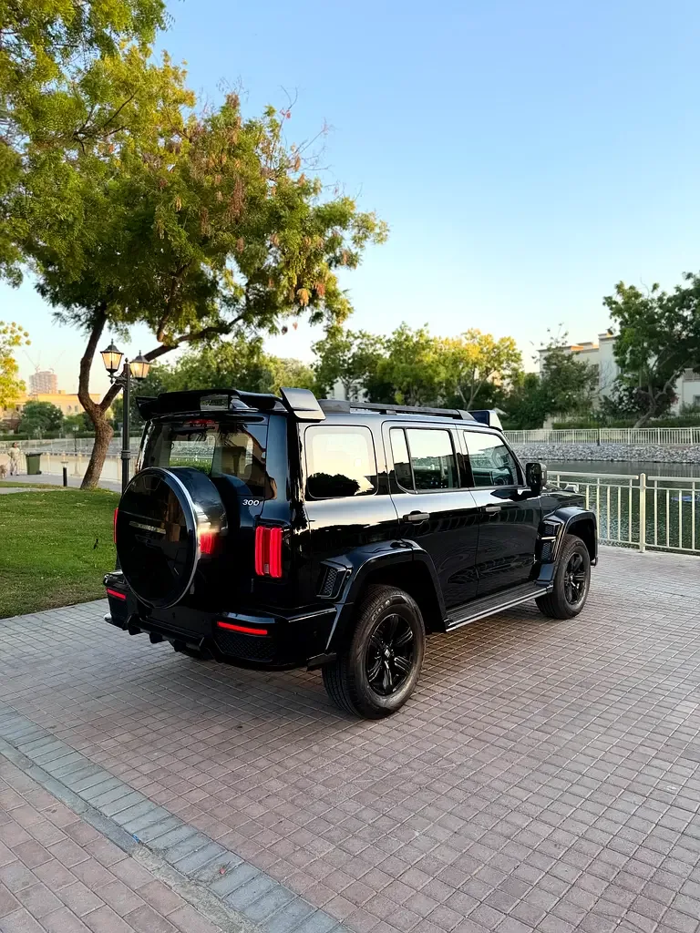 Tank 300 2.0 AT AWD (227 حصان) - 13