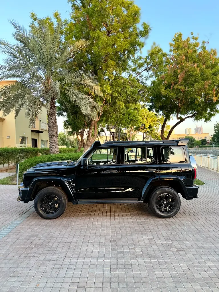 Tank 300 2.0 AT AWD (227 حصان) - 17