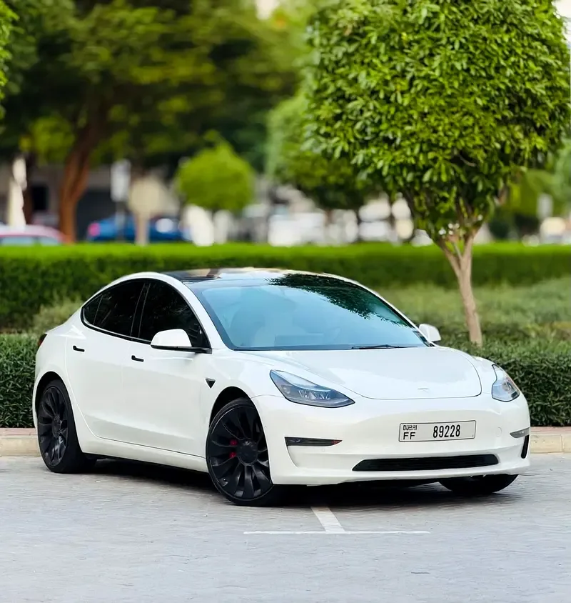 Tesla Model 3 AT (341 kW) 4WD - 3