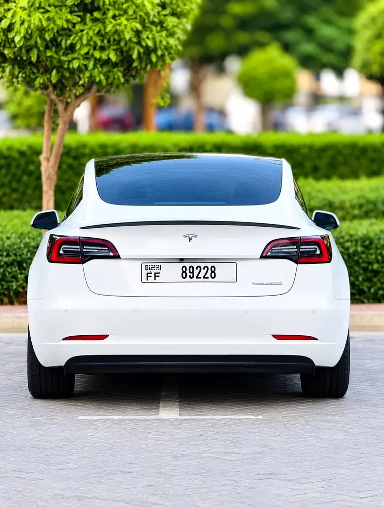 Tesla Model 3 AT (341 kW) 4WD - 6