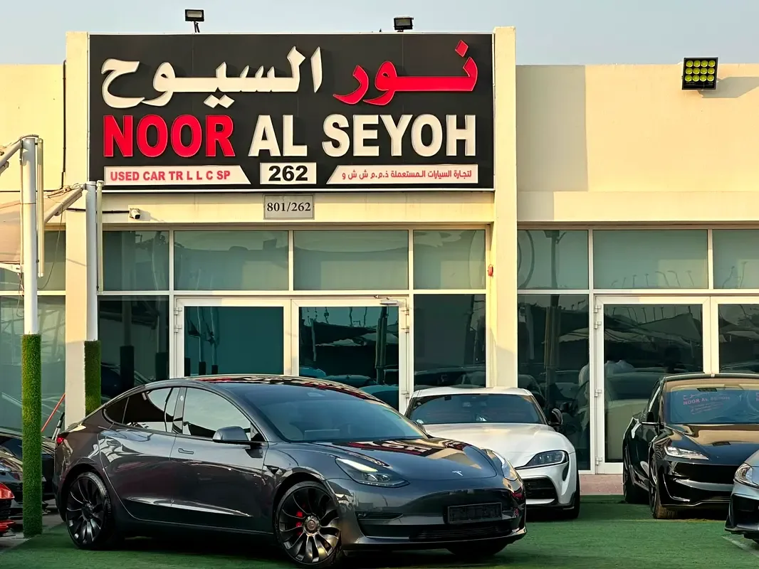 Tesla Model 3 AT 4WD (450 hp) - 2
