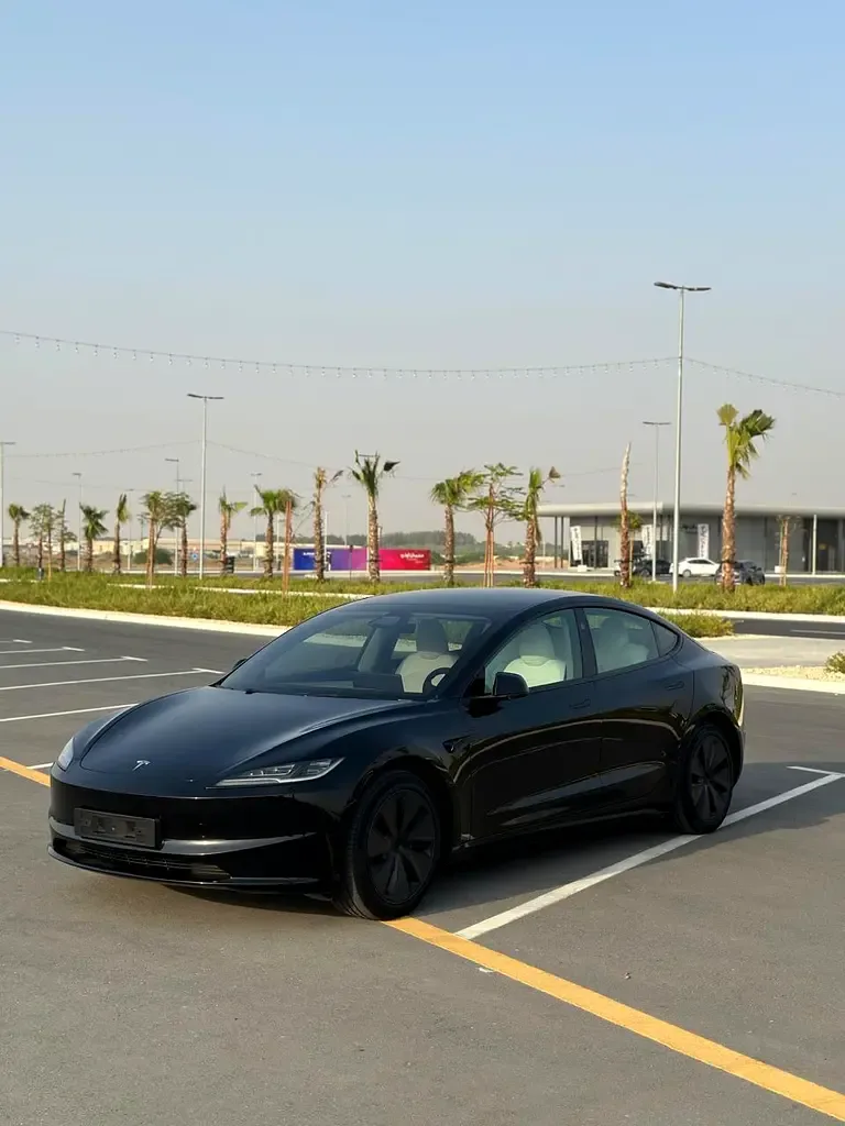 Tesla Model 3 AT RWD (306 hp)