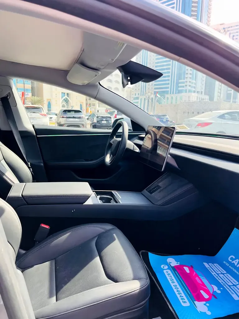 Tesla Model 3 AT RWD (306 hp) - 9