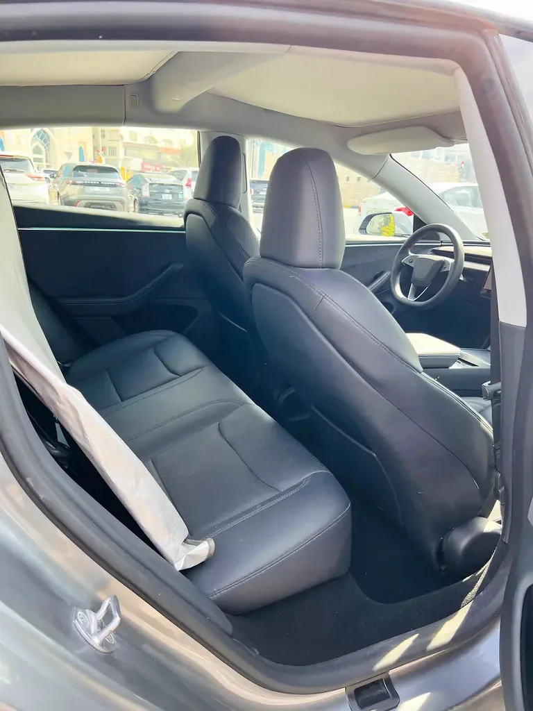 Tesla Model 3 AT RWD (306 hp) - 11