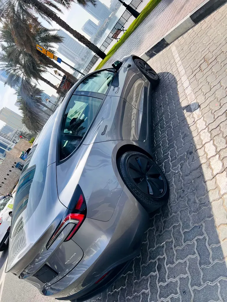 Tesla Model 3 AT RWD (306 hp) - 15