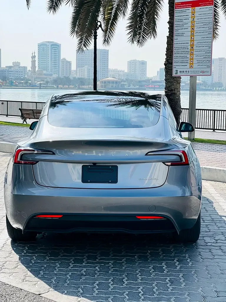 Tesla Model 3 AT RWD (306 hp) - 19