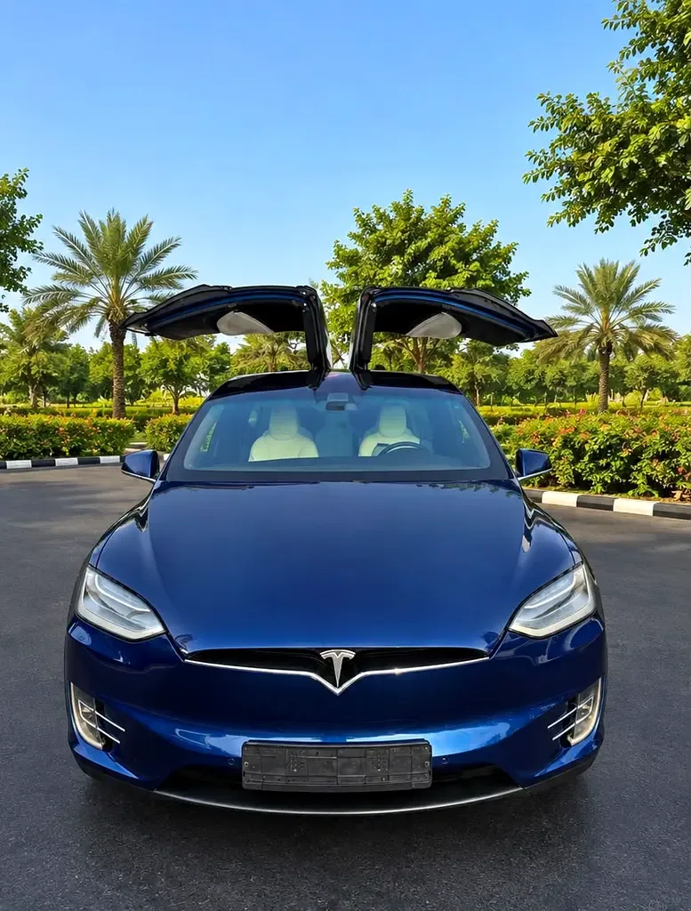 Tesla Model X AT 4WD (333 حصان) - 2