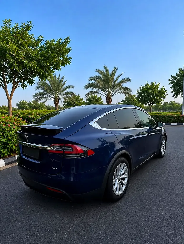 Tesla Model X AT 4WD (333 حصان) - 7