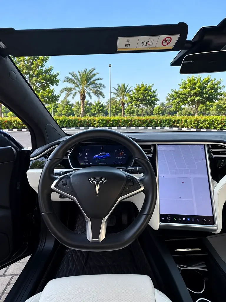 Tesla Model X AT 4WD (333 حصان) - 8