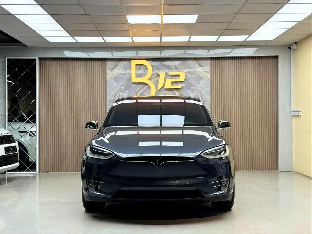 Tesla Model X AT 4WD (333 hp) - 3