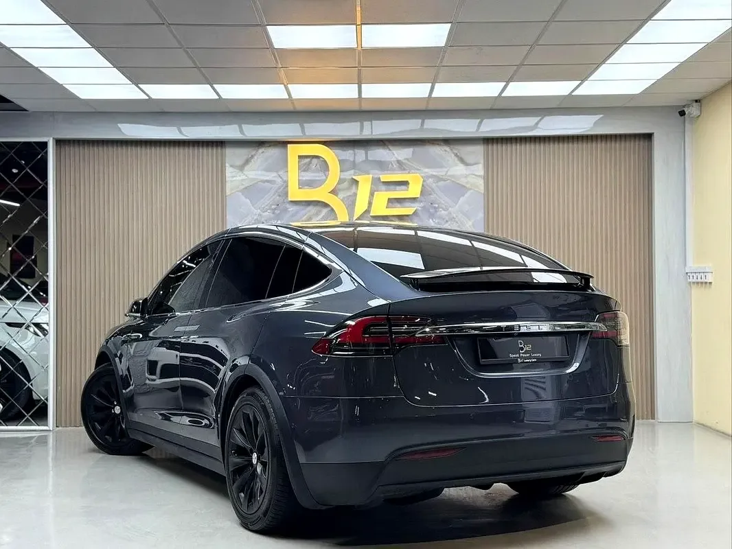 Tesla Model X AT 4WD (333 hp) - 6