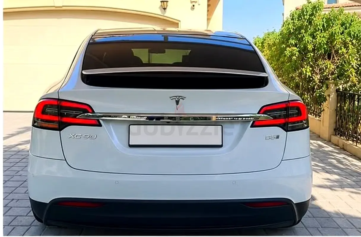 Tesla Model X AT 4WD (562 hp) - 10