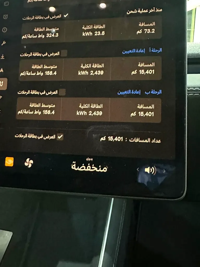Tesla Model Y AT (264 حصان) - 10