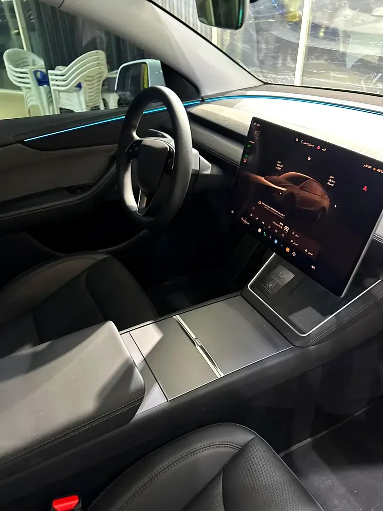 Tesla Model Y AT (264 حصان) - 12