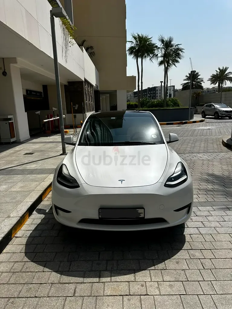 Tesla Model Y AT (271 hp)