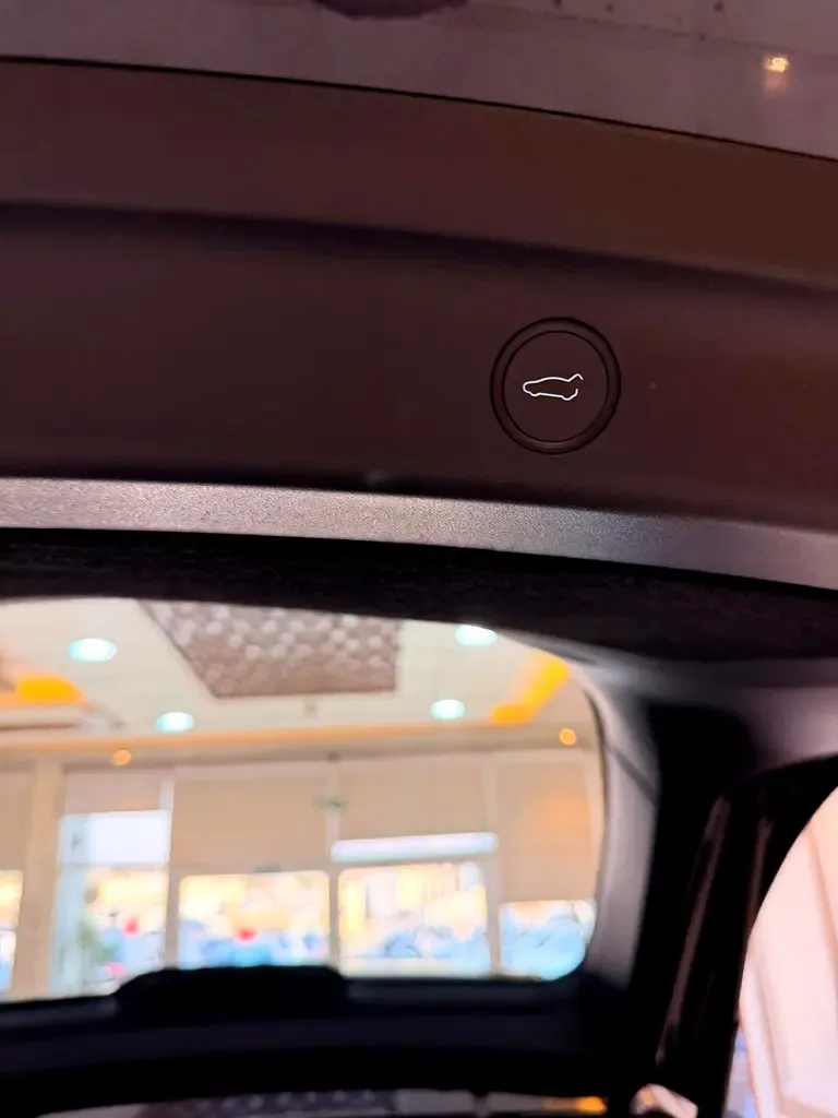Tesla Model Y AT (271 hp) - 6