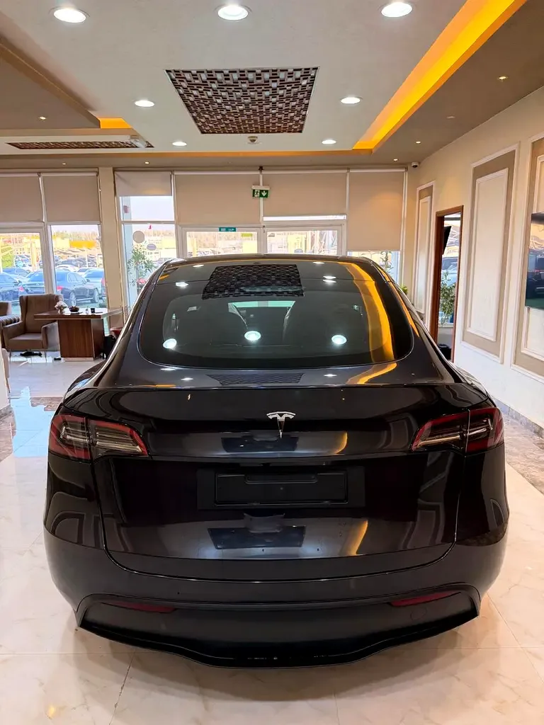 Tesla Model Y AT (271 hp) - 2