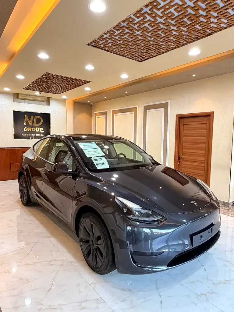 Tesla Model Y AT (271 hp) - 10