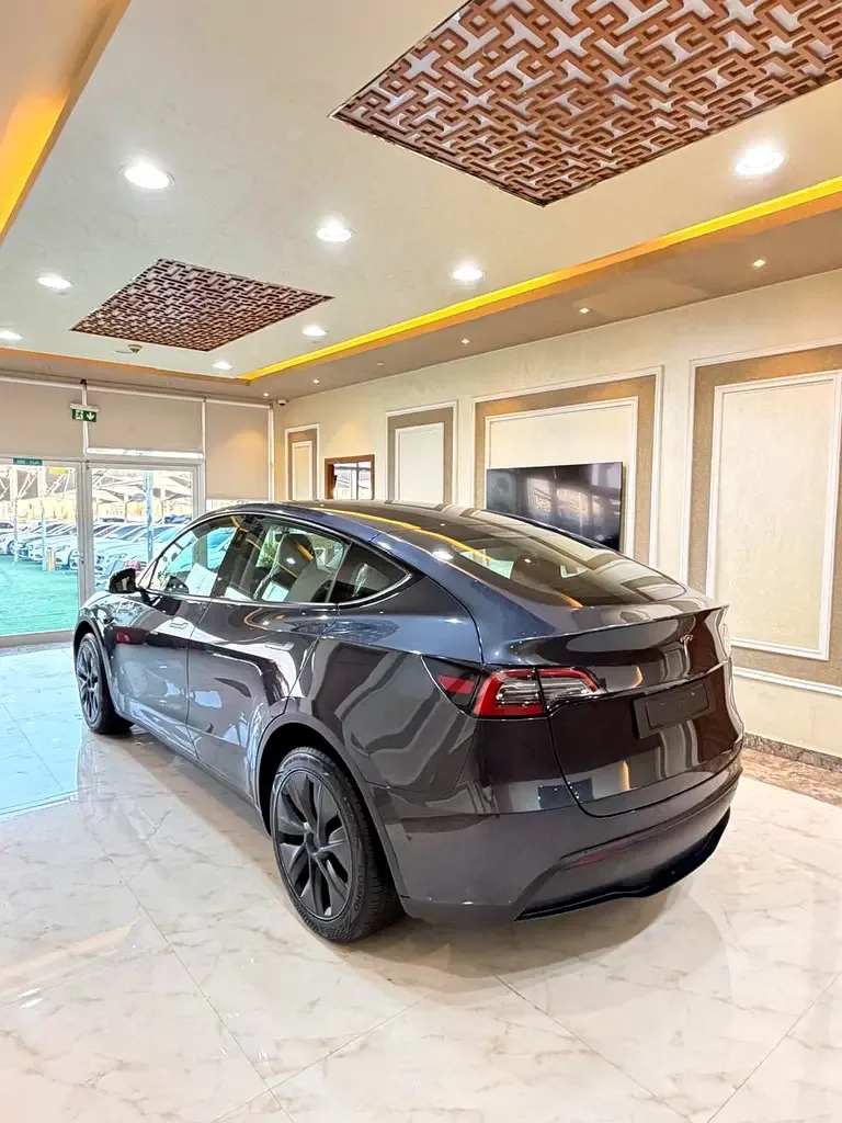 Tesla Model Y AT (271 hp) - 12